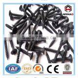 High Quality Black Phosphated Drywall Screw Factory thumbnail-2