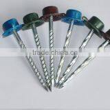 Top Quality Galvanized Twisted Shank Roofing Nail Screw Nail With Plastic Cap thumbnail-5