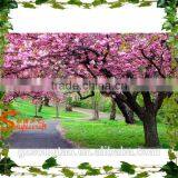 Artificial Cherry Blossom Tree, Ornamental Artificial Cherry, Decorative Artificial Sakura Tree thumbnail-3