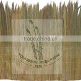 Fern Fence thumbnail-1