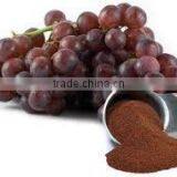 Grape Seed Extract thumbnail-1