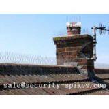 Seagull Spikes thumbnail-2