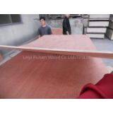 Linyi Ruisen Good Quality Bintangor & Okoume Plywood for Furniture and Packing