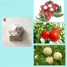 Plant Promoter 4-cpa 4-chlorophenoxyacetic Acid 98%tc in Agriculture thumbnail-3