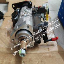 Original Delphi Genuine Fuel Pumps 9520A330G and 9520A334G Are Used for Perkins 1104D Fuel Pump 2644C319 thumbnail-3
