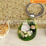 Promotional Gifts Real Bug Flower Sea Horse Scorpion Wholesale Crystal Diy Key Chain thumbnail-2