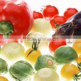 ISO Reefer Container Pricethermo King Reefer Container for Storage in China