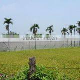 Agricultural Greenhouse Insect Netting Mesh 40 , and Mesh 50 Insect Net thumbnail-3