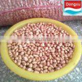 Shandong Peanut Kernels
