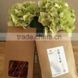 Accept custom order brown kraft paper bags