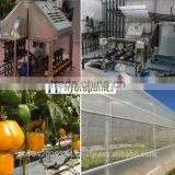 Hydroponics and Commercial Greenhouses for Desert and Semi-arid Tomato Lettuce Strawberry Production