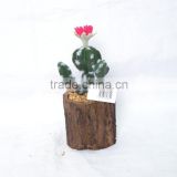 Potted Green Artificial Cactus Succulent Plant With Top Pink Flower