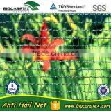 (20 Years Factory,Shanghai) 50grm Vineyard Hail Protection Net