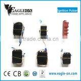 SKD/CKD Pulse thumbnail-1