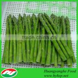 Green Asparagus With BRC ISO9001 ISO22000 Certificate