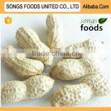 Goods Quality Best Quality Peanuts Inshell