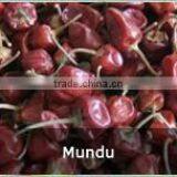 Round Red Chilles thumbnail-6