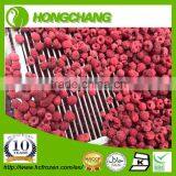 Frozen Raspberry thumbnail-1