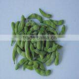 IQF Fresh Soybeans thumbnail-3