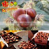 New Crop Fresh Shandong Chestnuts thumbnail-3