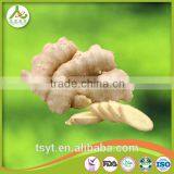 Chinese Fresh Fat Giant Big Natural Mature Ginger thumbnail-3