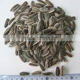 Hot Products Grade A Sunflower Seeds