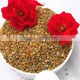 100% Pure Fresh High Standard Healthcare Supplement Organic Mixede Bee Pollen