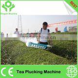 Tea Harvester thumbnail-2