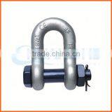 Factory Price Customized Double d Shackle thumbnail-5