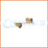High Quality Hollow Rivet Material