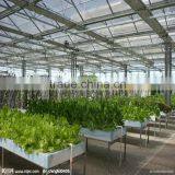 HDPE Virgin UV Agricultral Plastic Shade Net thumbnail-6