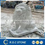 Carving Marble Lion Statue for Outdoor Decoration thumbnail-1