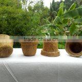 Coco Fiber Pots thumbnail-1
