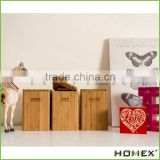 Bamboo Coin Bank Money Boxes Homex BSCI/Factory