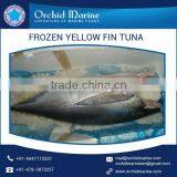 Best Flavour Yellowfin Tuna Available From Top Manufacturer/Supplier