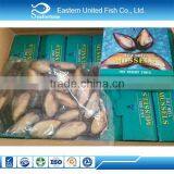 Seafood Frozen Top Half-shell thumbnail-1