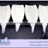 Squid Tube Giant Squid thumbnail-2