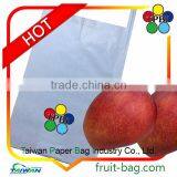 Mango Growing Bag Mango Fruit Branded Paper Bag Mango Growing Bag thumbnail-1