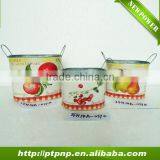 Fruit Design Metal Vertical Garden Planter thumbnail-1