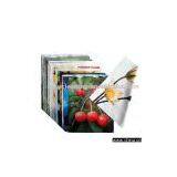 Lens Cloth thumbnail-1