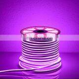 LED Flex Neon Lights 24V Rope Light Flexible Waterproof For Studio Christmas Decor thumbnail-2