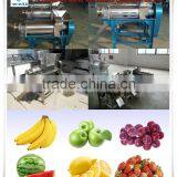 Orange Squeezer Juicer