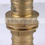 Brass Coupling thumbnail-1