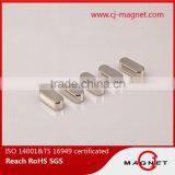 Customized Rare Earth Electro Magnet Neodymium Magnets thumbnail-4
