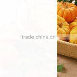 Car Window 5 Years Gurantee Solar Window Film thumbnail-2