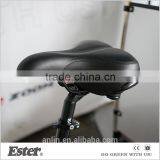 ESTER Exercise Tricycle Pedicab Rickshaw/bike Taxi thumbnail-3