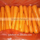 2016 chinese fresh carrot