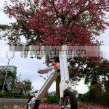 Quality Primacy Unique Security Use 2 Wheel Electric Scooter thumbnail-3