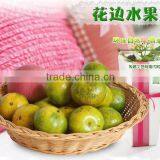 Rattan Woven Fruit Refreshments Basket thumbnail-6