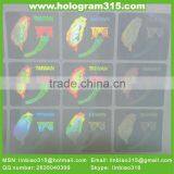 Transparent Hologram Overlays Film thumbnail-1